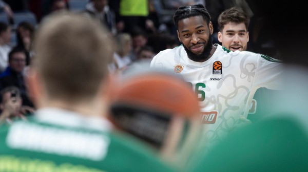 Lesor: Na terenu su bile zebre, delfini, majmuni i poniji