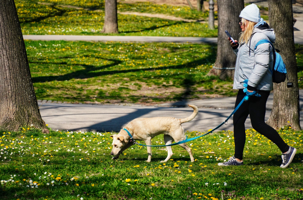 Spremite se: Danas do 33 stepena