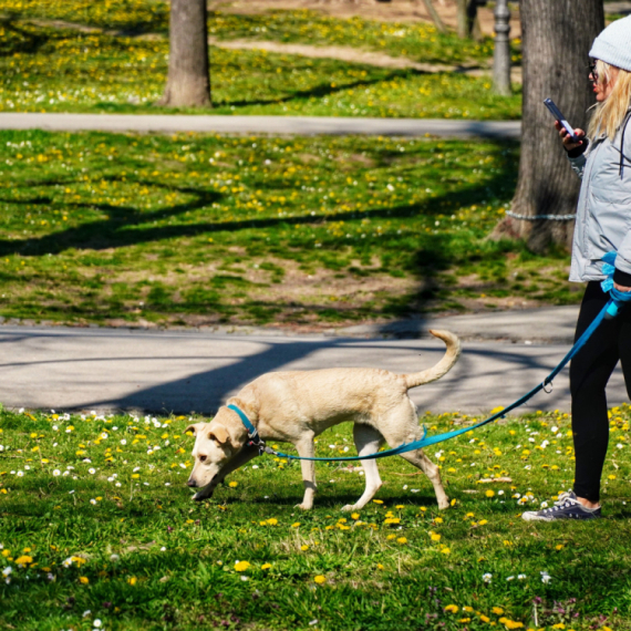 Spremite se: Danas do 33 stepena