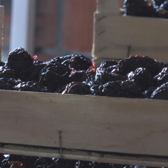 Neverovatan izum Čačana: Menja radnike, a suši čak i zalađene šljive