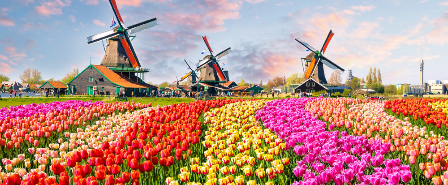 Najlepši botanički vrt na svetu otvoren za posetioce VIDEO