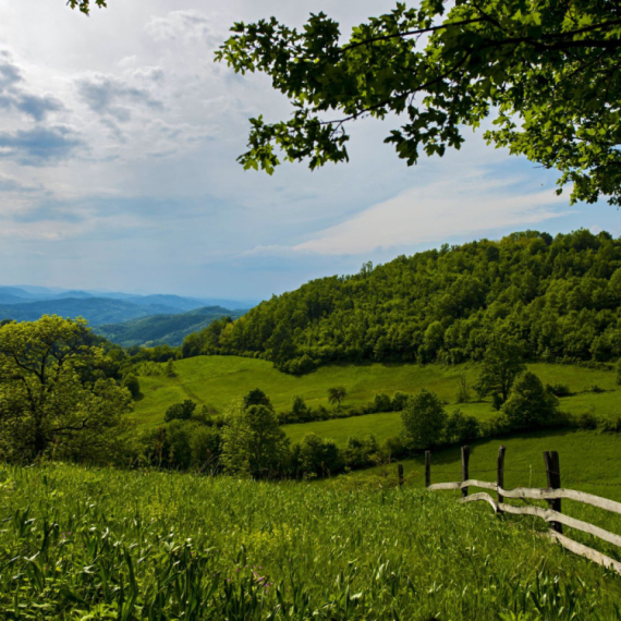 "Tačno je, prodali smo njivu Rio Tintu"; Gošća sve svalila na svekra i svekrvu: Bolesni i dementni VIDEO