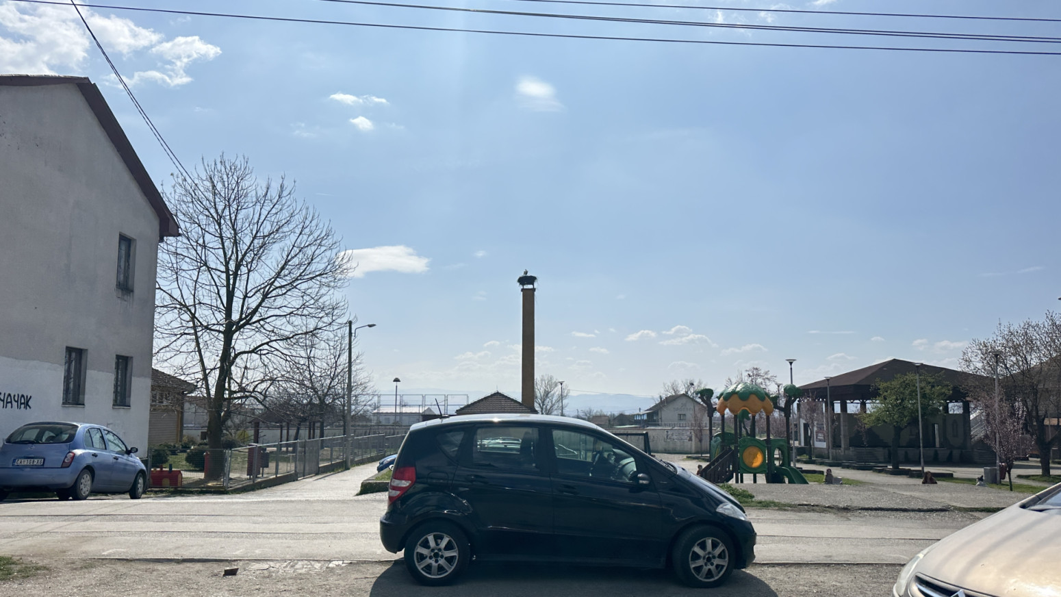 Vratile se rode usred Srbije FOTO