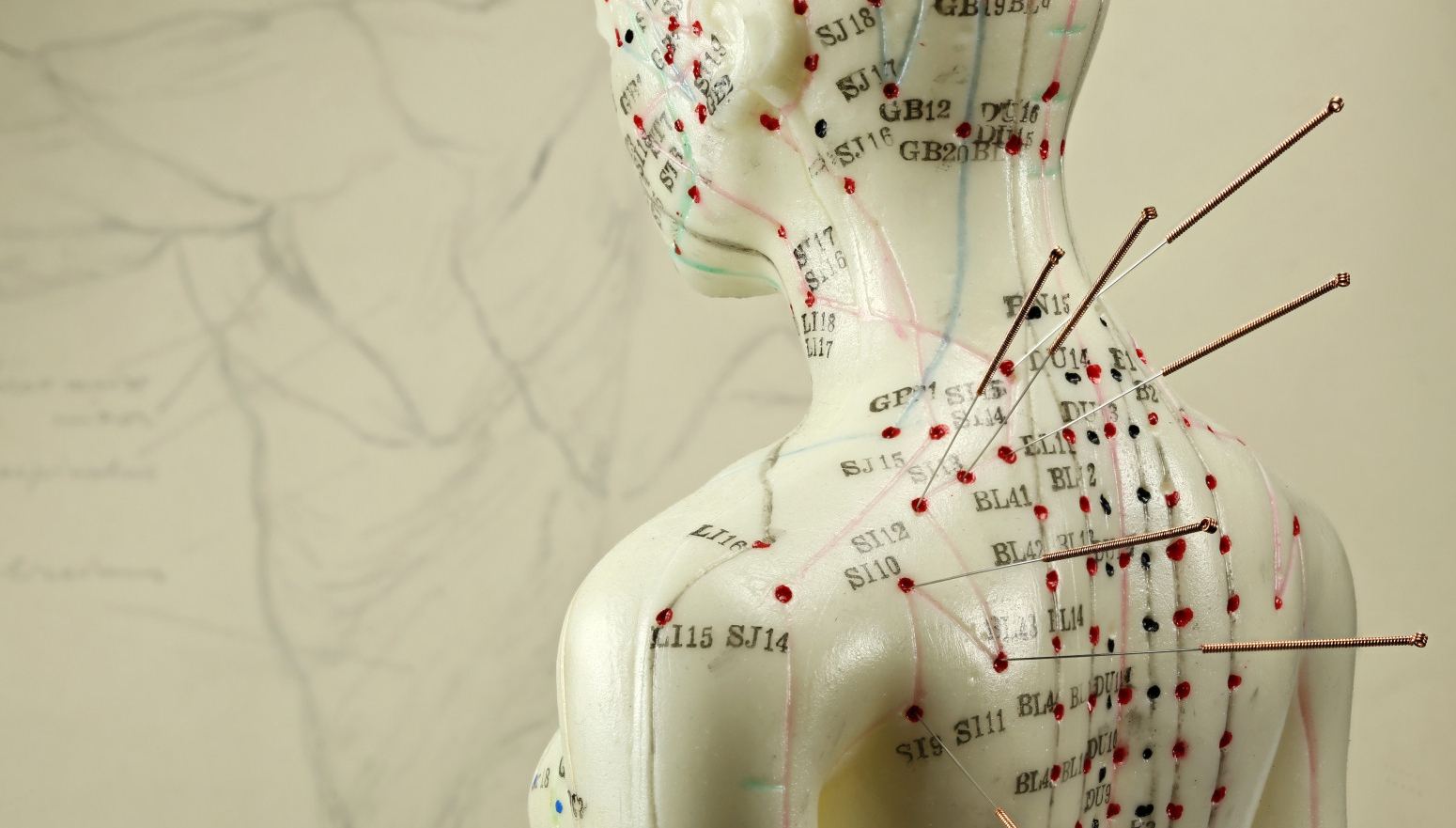 Šta sve pruža kineska medicina?