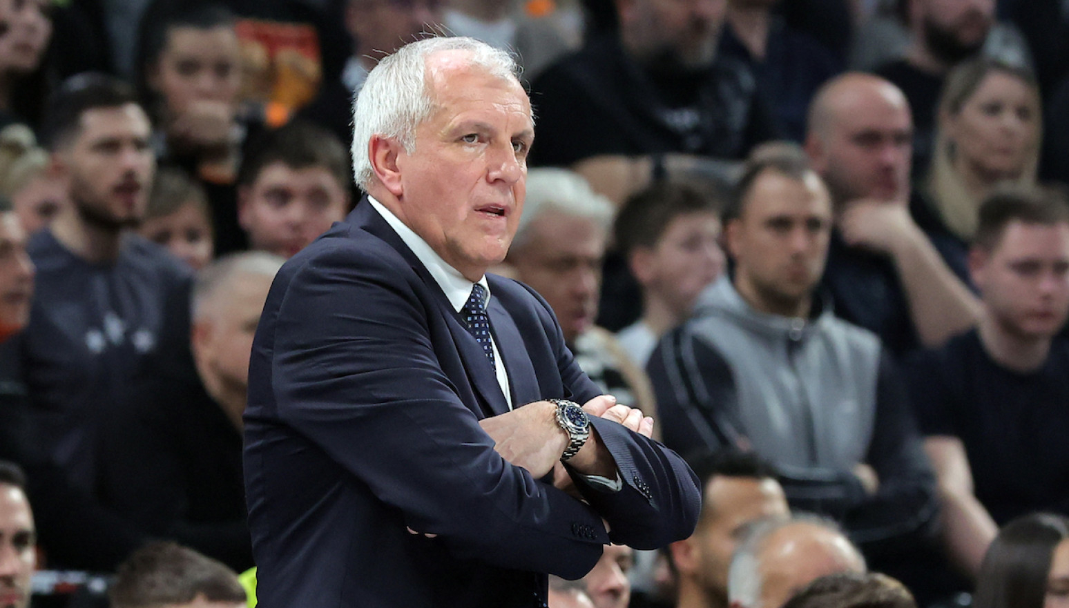 Gde je Ledej? Obradović: Nisam ga ni ja video