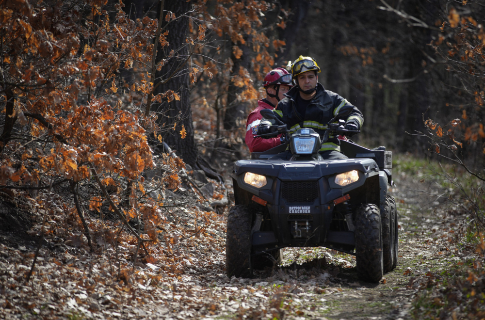 Novi detalji istrage o nestaloj Danki; Oglasila se ambasada Srbije u Austriji