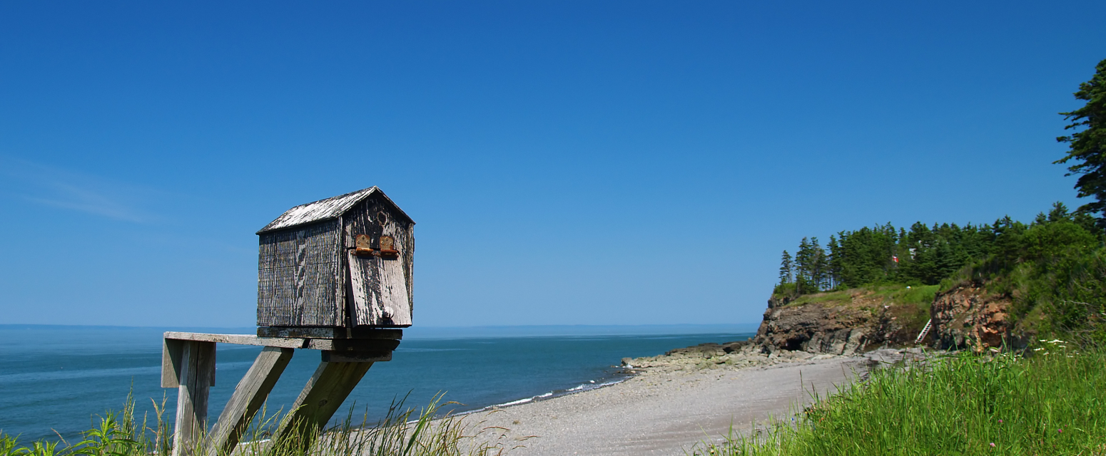 Da li ste znali da možete da pošaljete pismo sa dna mora? VIDEO