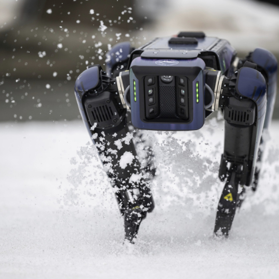 Bezglavi robopas stražari: Ima samo jedan zadatak pred sobom VIDEO