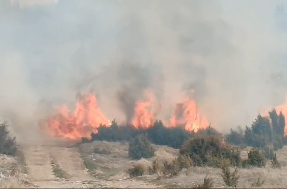 Alarmantno: Veliki šumski požar kod Prijepolja FOTO