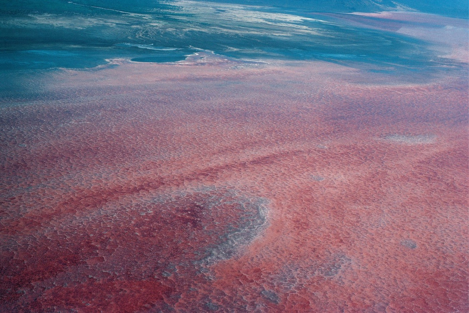 Zastrašujuće jezero koje životinje pretvara u kamen FOTO