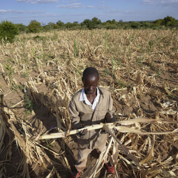 Zimbabve proglasio nacionalnu katastrofu zbog suše: Preti glad