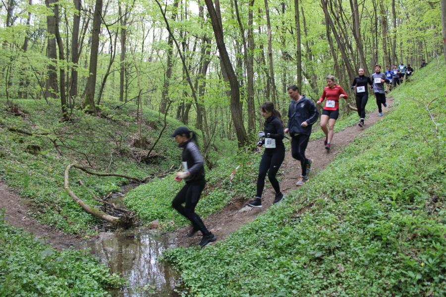 Trejl trka u Vršcu prva od sedam u nizu Challenge race serijala