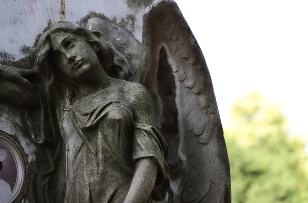 Besplatni tematski obilasci Novog groblja: Mesto gde se sastaju prolaznost i večnost