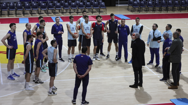 Dvomeč Srbije i Francuske pre OI u Parizu