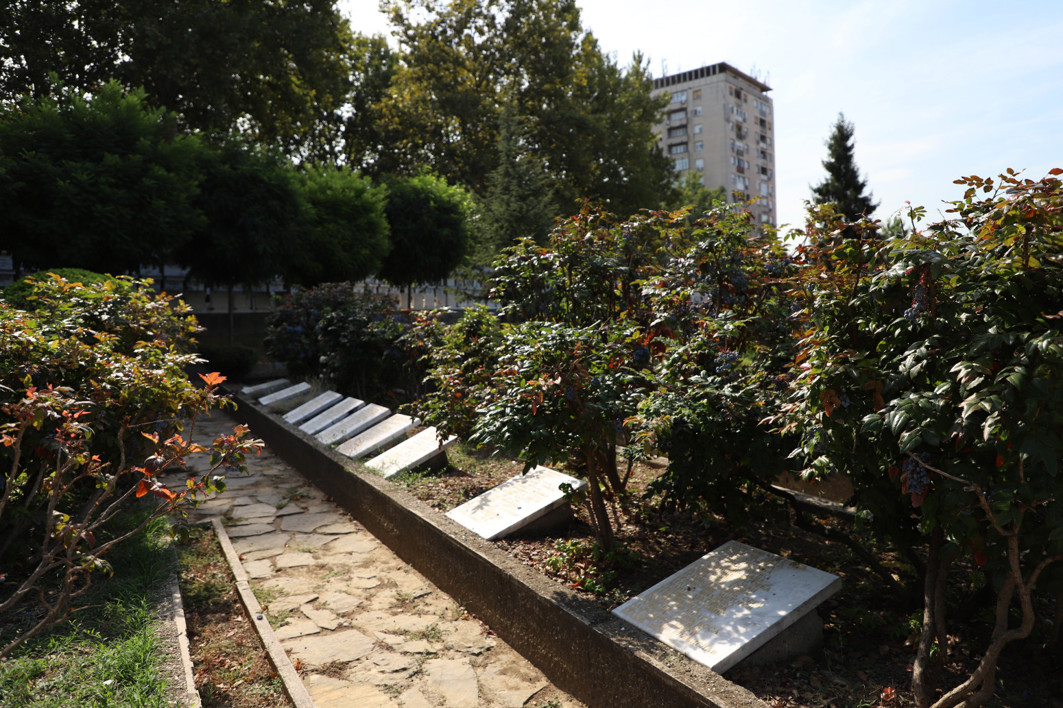 Kapetan Miloš Žunjić – najsjajnija zvezda beogradskog neba