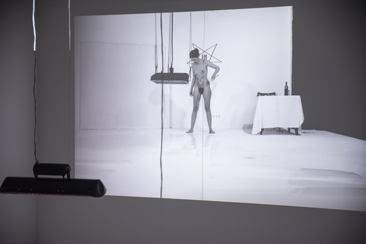 Marina Abramović predložena za inostranu članicu SANU