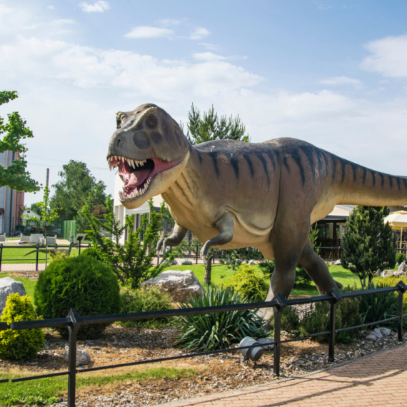 Od praistorije do astronomije: Ovo možete videti u srpskom Prirodnjačkom centru VIDEO