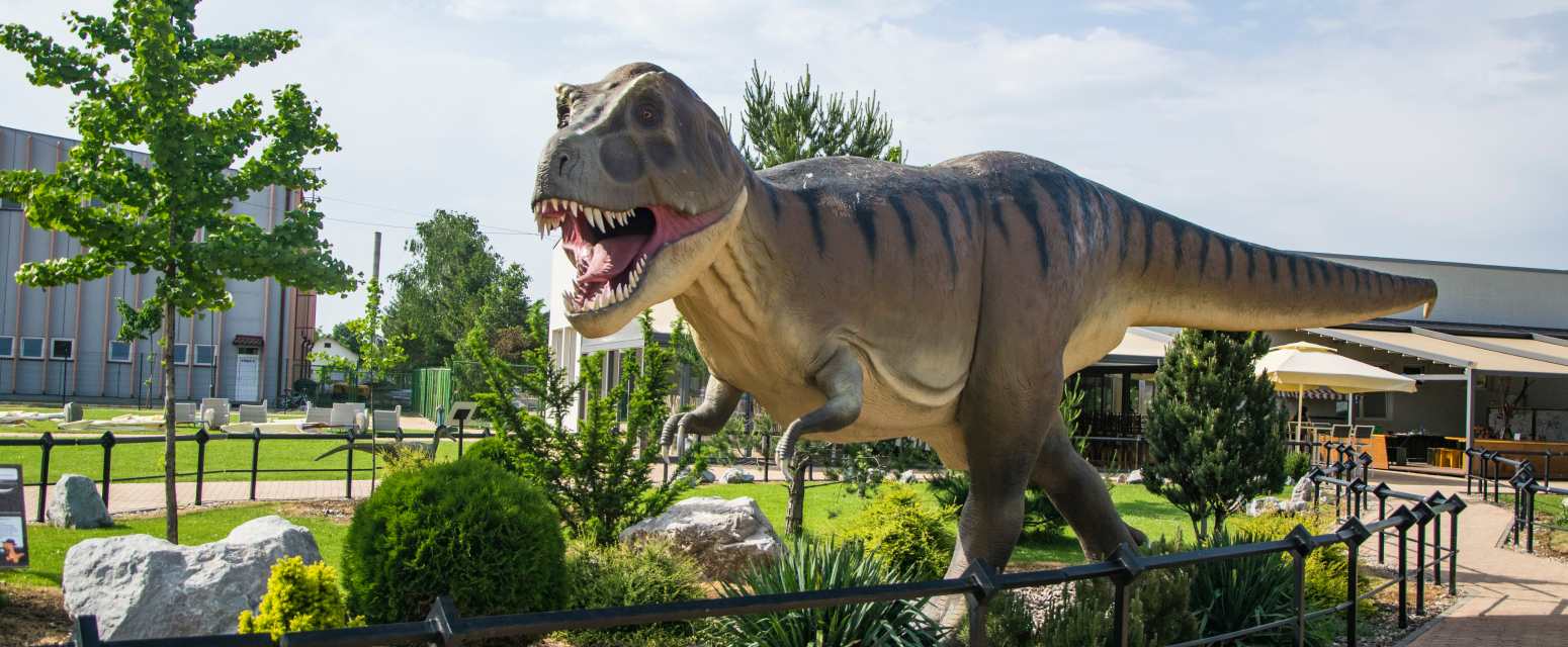 Od praistorije do astronomije: Ovo možete videti u srpskom Prirodnjačkom centru VIDEO