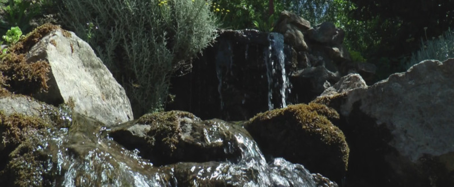 Čuvarkuća, mesto gde se spava na slamarici i gde se jedu samo srpski specijaliteti FOTO