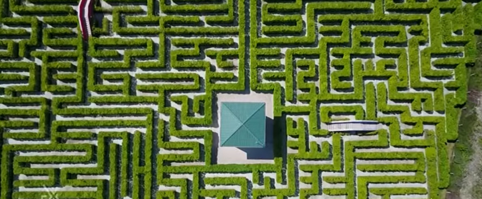 Najveći "živi" lavirint u Evropi se nalazi u Srbiji VIDEO