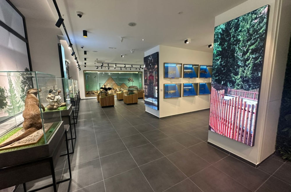 Od stare ruine do jedinstvenog mesta u Zapadnoj Srbiji: Ovde je izložena najbrža ptica na svetu