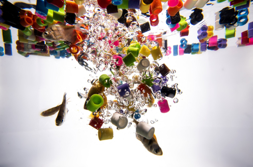 Mikroplastika u telu može uzrokovati razne bolesti, od Alchajmera do kancera