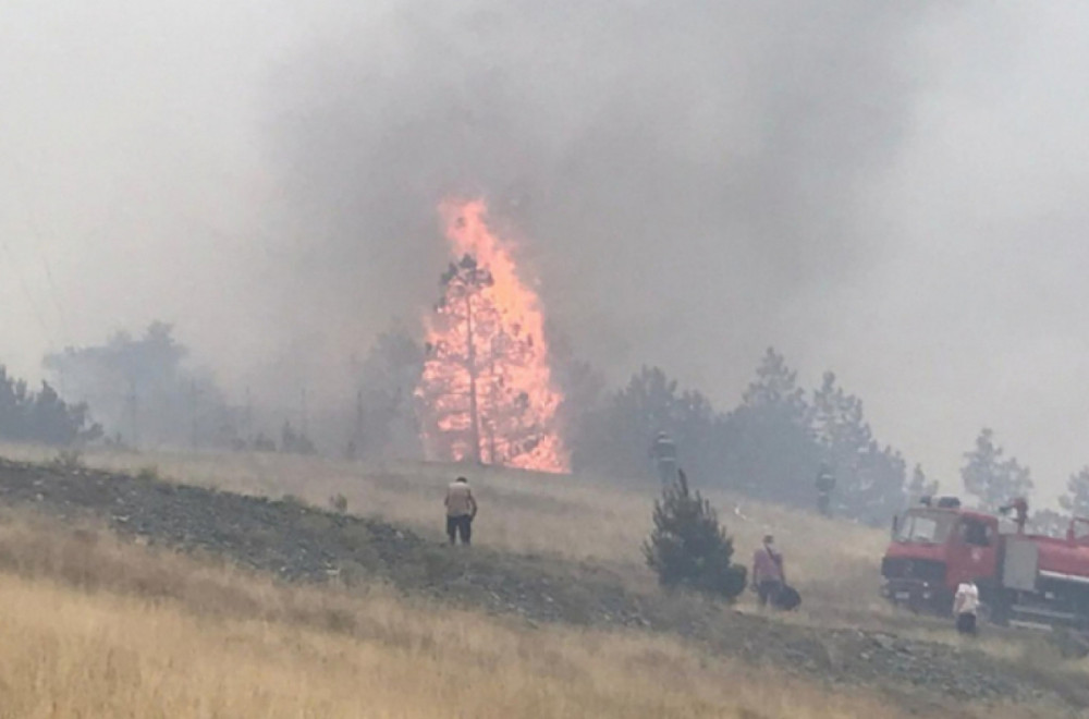 Lokalizovan veliki požar kod Zlatibora: Zahvaćena površina od preko pet hektara