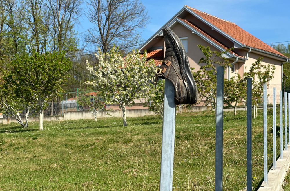 Meštani u strahu: "Ogromni i krupni, velikih čeljusti šetaju naseljem"