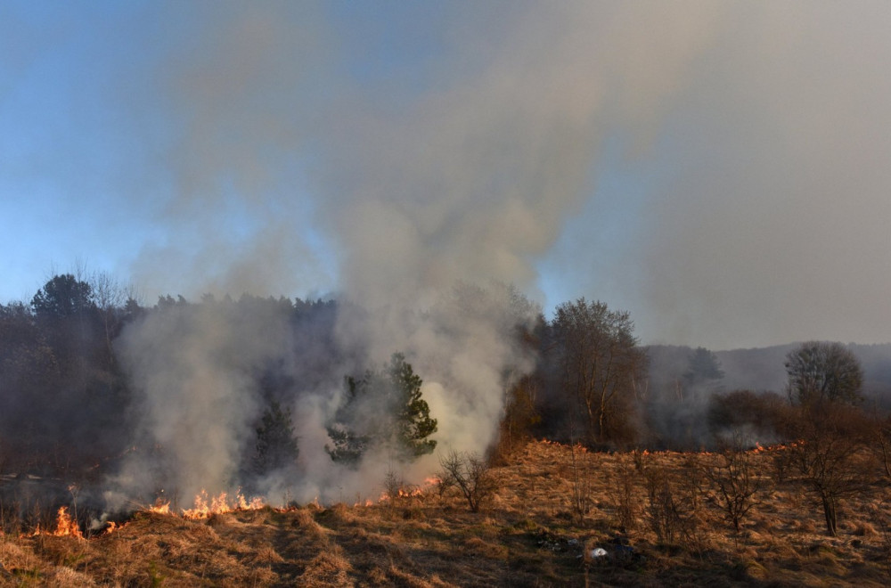 Za četiri meseca 300 požara u Pomoravskom okrugu: Nadležni pojačavaju nadzor na terenu