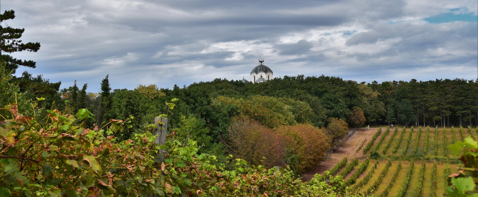 Sve je spremno za još jednu Oplenačku berbu u Topoli: Manifestacija koja živi duže od šest decenija