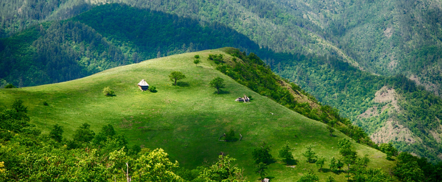 Ova srpska planina je raj za alergične