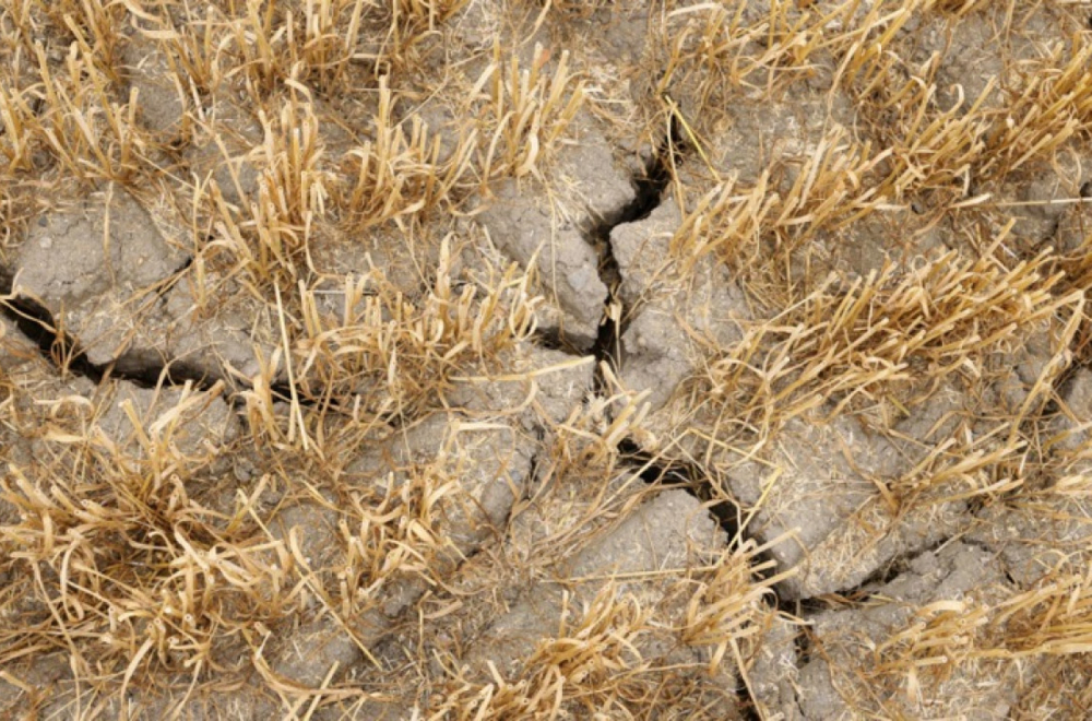 Ruski guverner saopštio: Uvodi se vanredno stanje