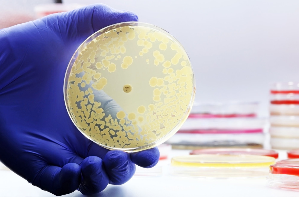 Samo jedna doza nove klase antibiotika uništila jednu od najopasnijih bakterija