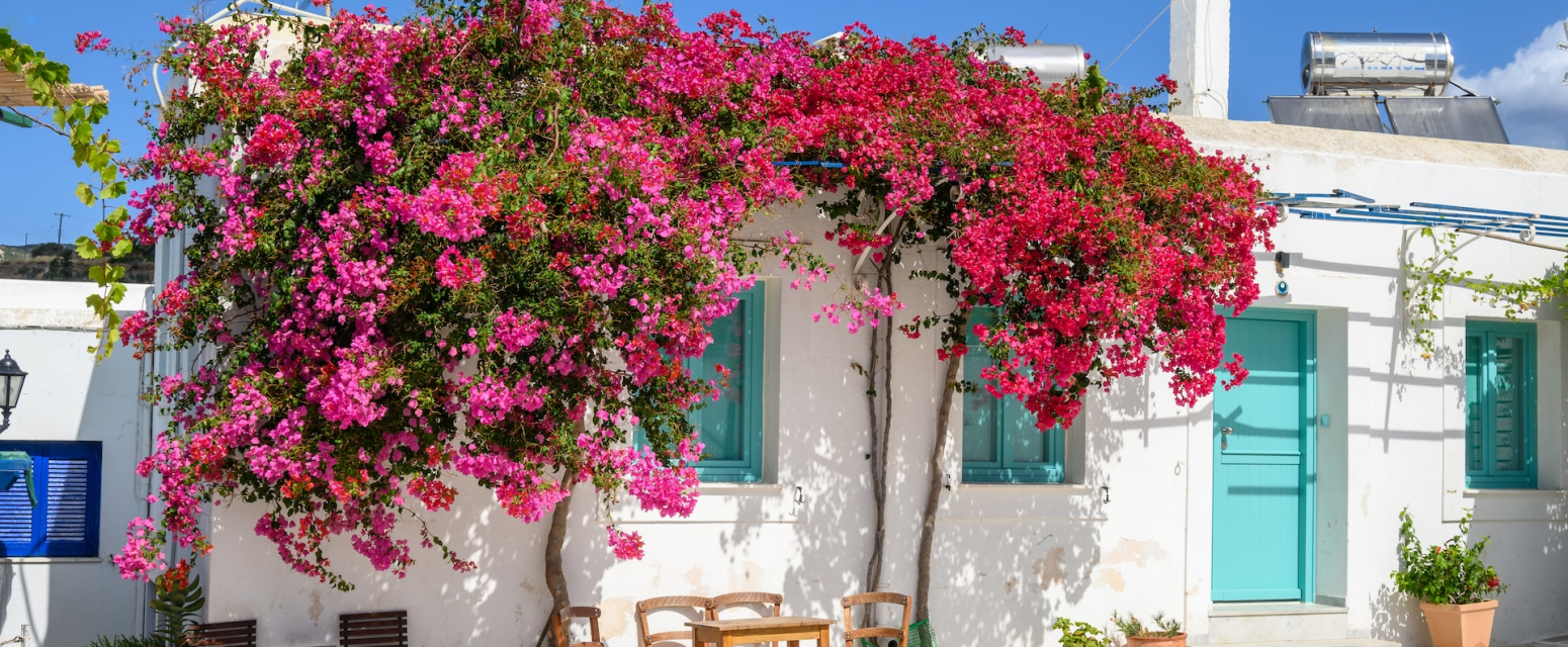 Grčko ostrvo je postalo hit zbog serije na Netfliksu: Zbog toga se očekuju poskupljenja FOTO