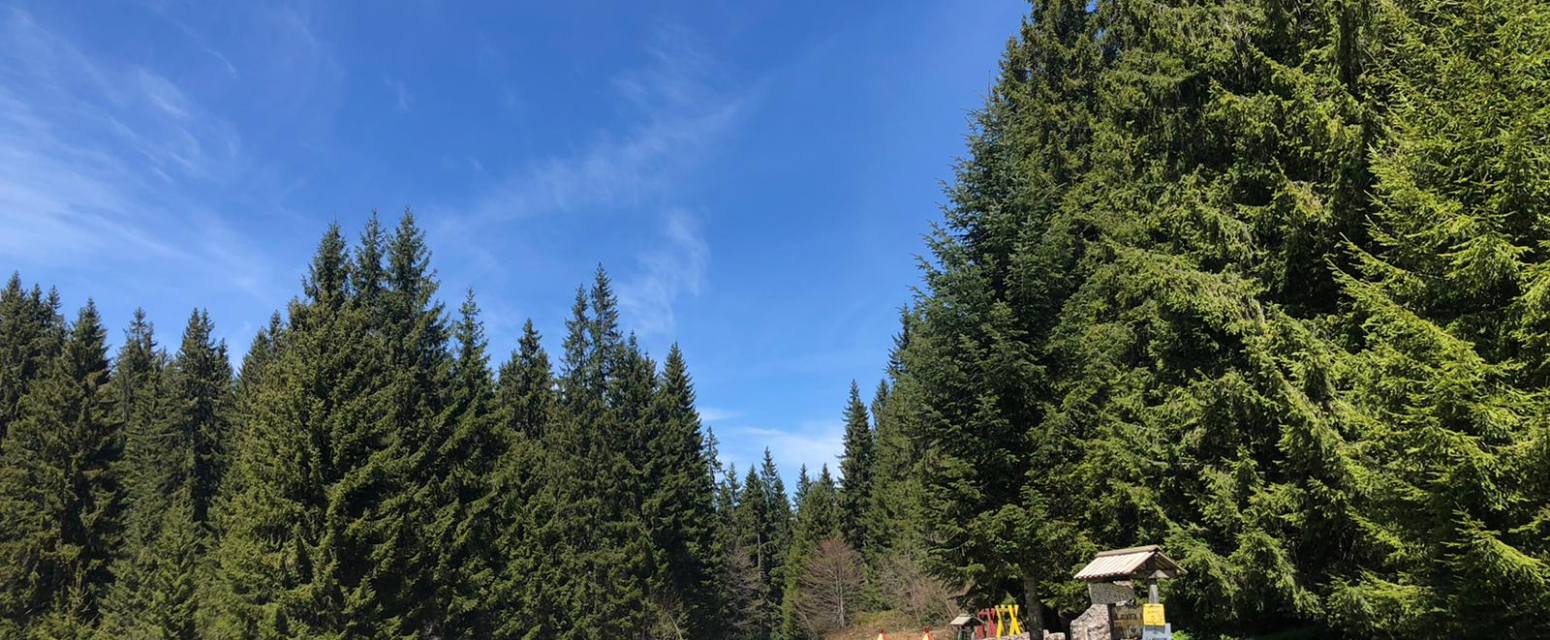 Skriveni biseri: Lekovita planina i banja u Srbiji za koju malo ko zna FOTO