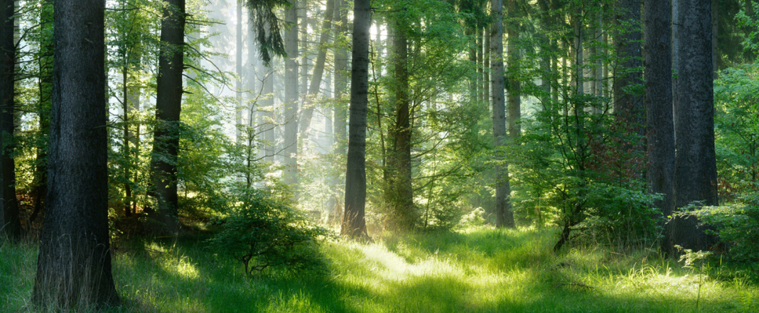 Četiri lokaliteta u Srbiji bore se za mesto na Uneskovoj listi
