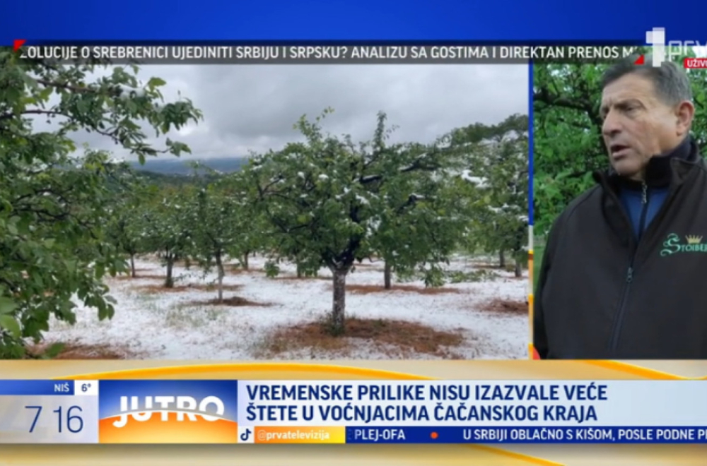 Ima li štete od mraza u čačanskim voćnjacima? VIDEO