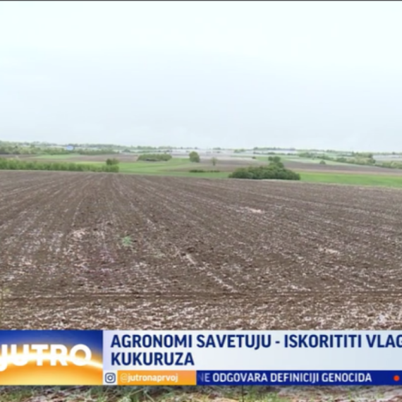 Agronomi savetuju: Kragujevčani, iskoristite kišu i sneg za setvu VIDEO