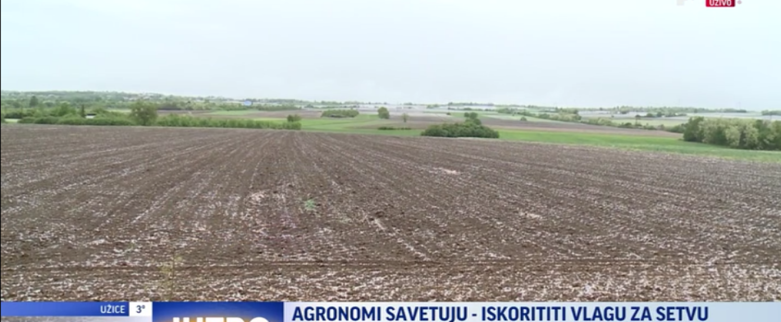 Agronomi savetuju: Kragujevčani, iskoristite kišu i sneg za setvu VIDEO