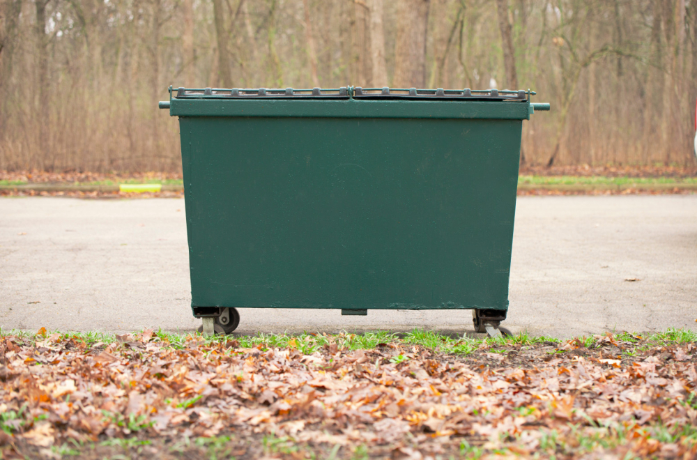 Kruševac doprinosi zaštiti životne sredine