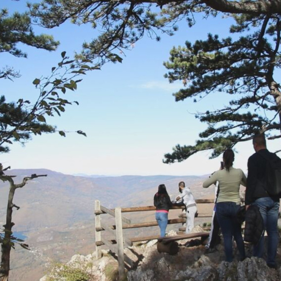 Ne žele da plaćaju ulaz u prirodu: Obustavljena naplata taksi u NP Tara, ali samo za jednu grupu ljudi