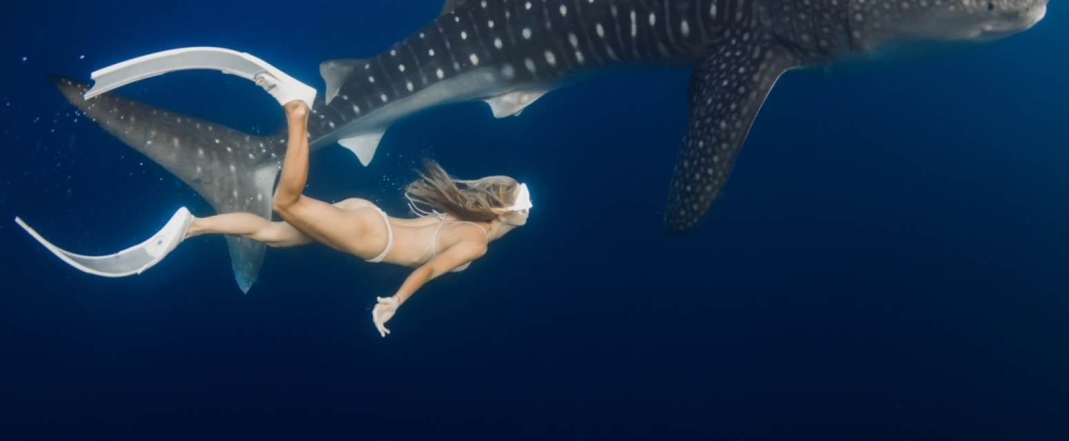 Devojka uzjahala ajkulu pa se pokajala: Osetila krv na nezgodnom mestu FOTO/VIDEO