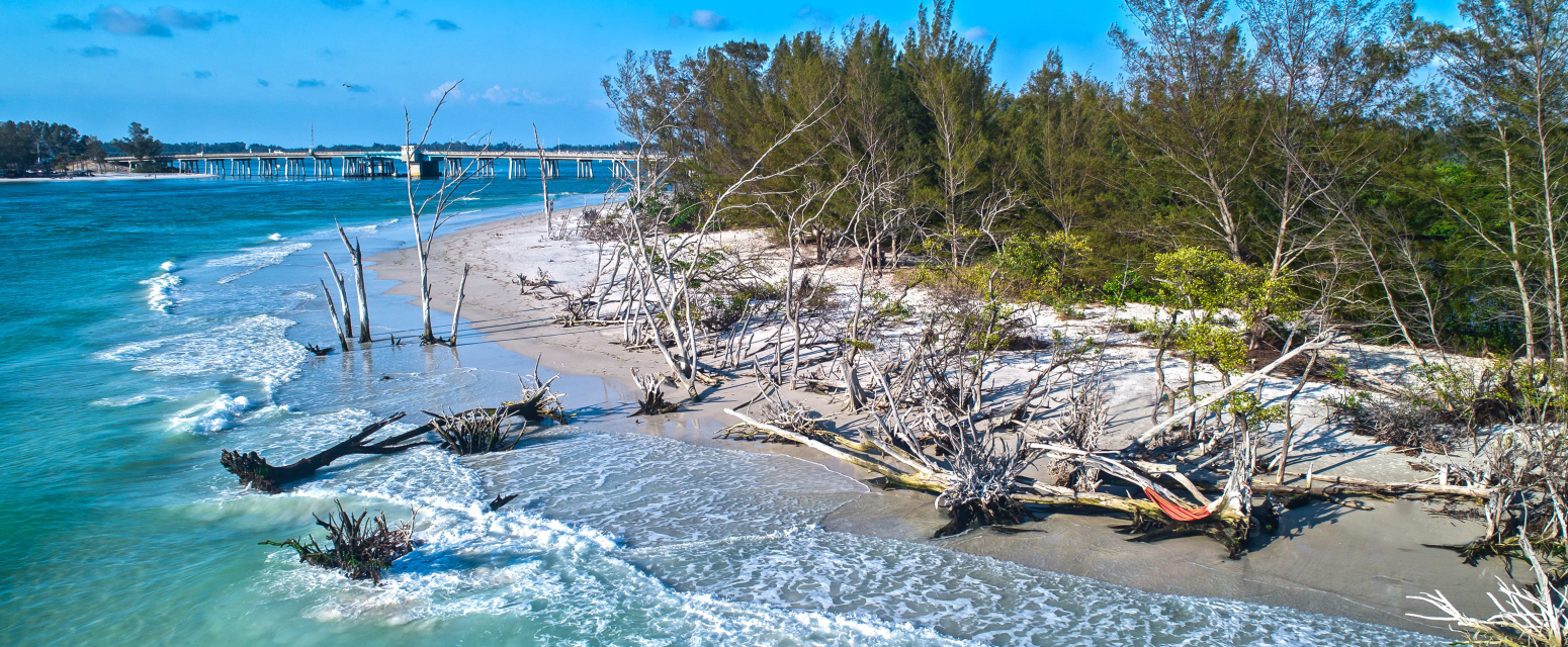 Privatno "party ostrvo" se prodaje: Idealna destinacija za zabave, venčanja i žurke VIDEO