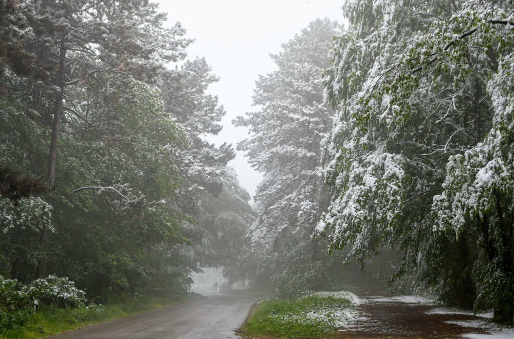 "Zimska idila" u Srbiji: Opet veje FOTO/VIDEO