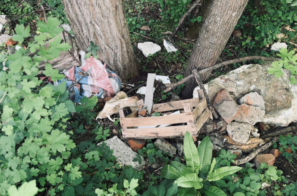 Sramotna slika iz Čačka: Nemarni pojedinci prave divlje deponije u najlepšem delu grada FOTO