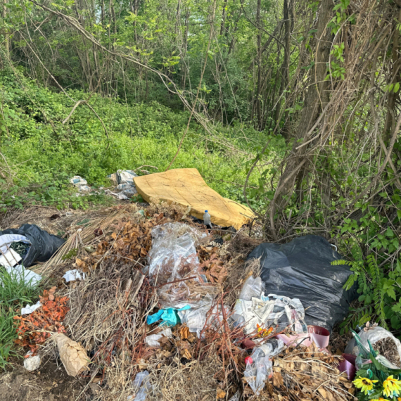Sramotna slika iz Čačka: Nemarni pojedinci prave divlje deponije u najlepšem delu grada FOTO