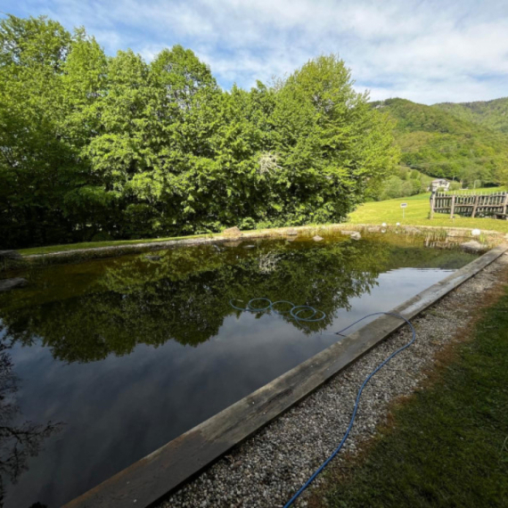Slovenac na imanju napravio raj: Most od sibirskog bora, plivanje u bazenu sa ribama i još mnogo toga FOTO