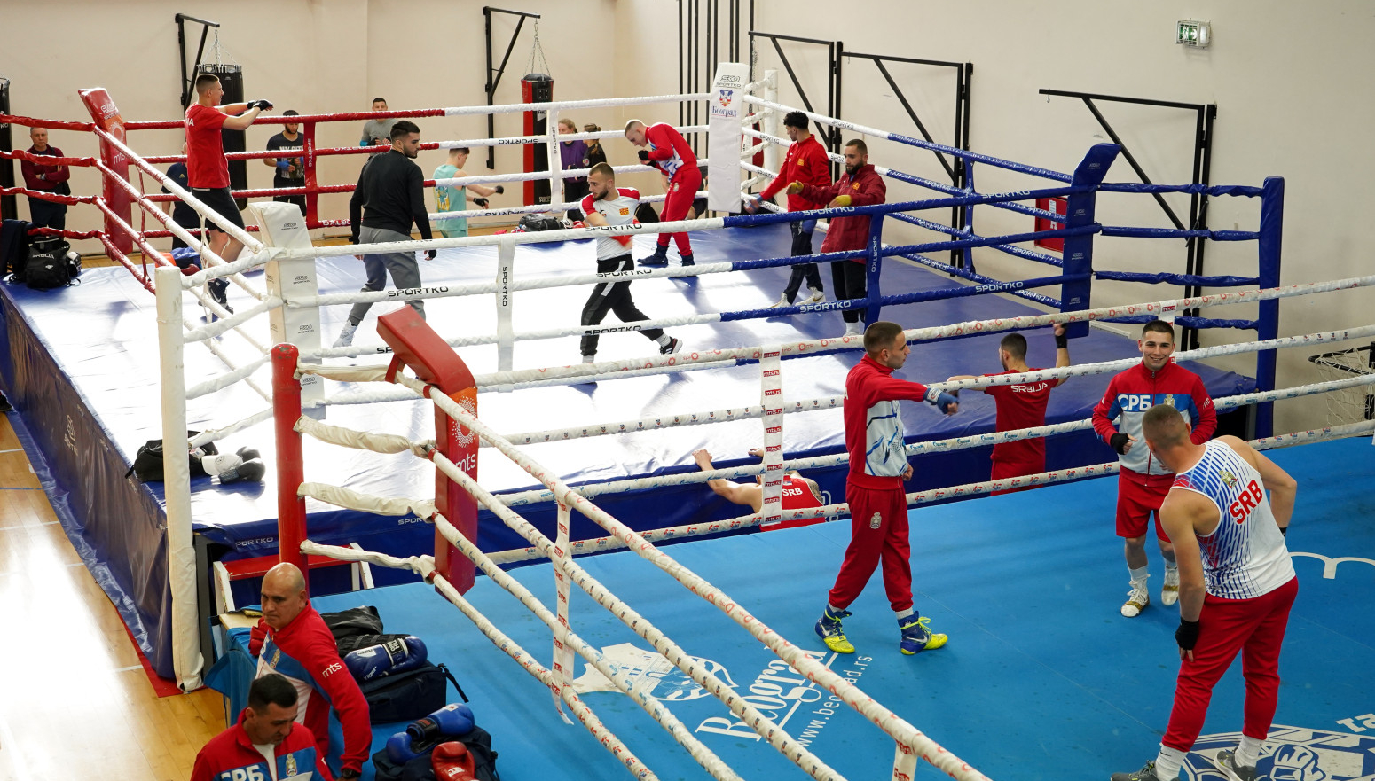 Hrvati posle napada u Beogradu: "Idemo u kafiće, nismo ugroženi – čak navijaju za nas"