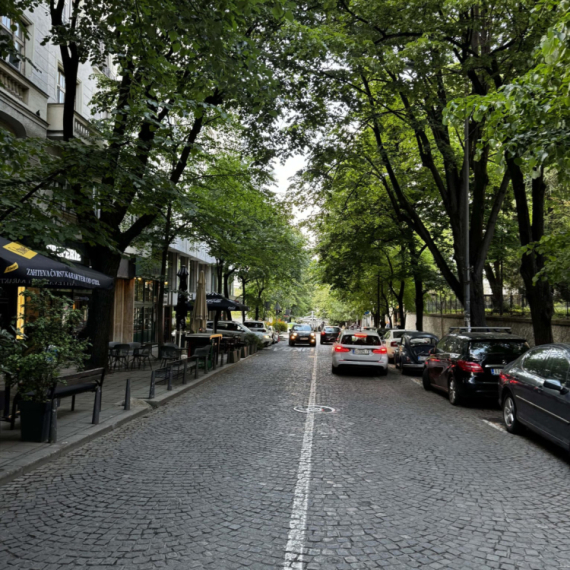 Zeleni pokret Vračar: Pokrenuta peticija da Njegoševa ulica na Vračaru bude šetačka zona