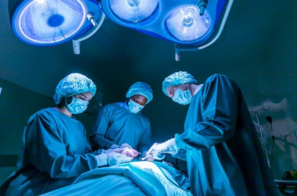 Drugi slučaj transplantacije svinjskog bubrega pacijentkinji u SAD